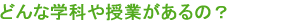 どんな学科や授業があるの?