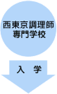 �`���[�g