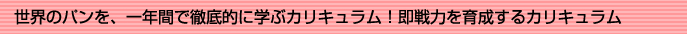 世界のパンを、一年間で徹底的に学ぶカリキュラム！即戦力を育成するカリキュラム